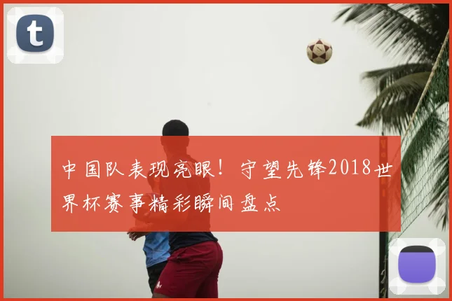 中国队表现亮眼！守望先锋2018世界杯赛事精彩瞬间盘点