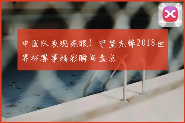 中国队表现亮眼！守望先锋2018世界杯赛事精彩瞬间盘点